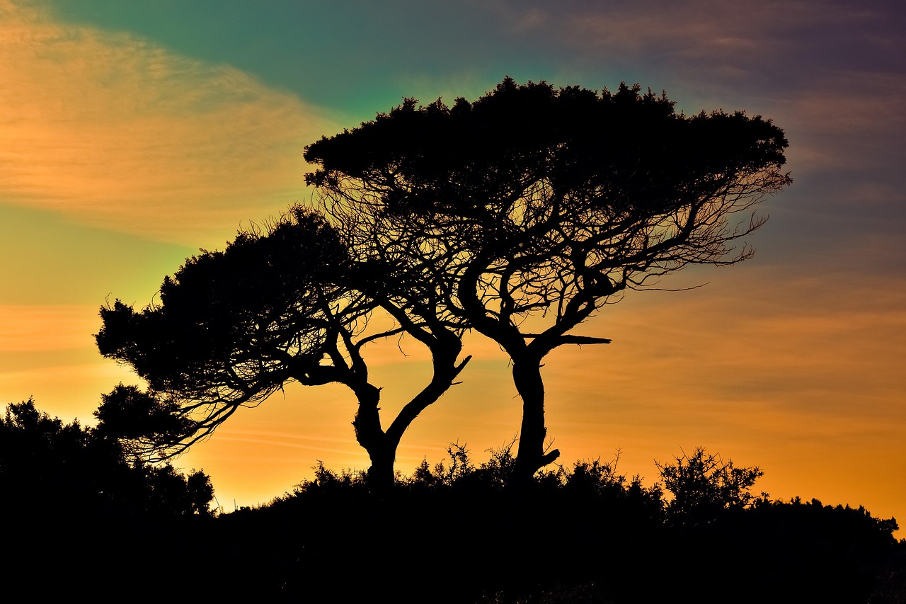 découvrez chypre, île méditerranéenne fascinante, réputée pour ses plages idylliques, sa richesse culturelle et son histoire millénaire. préparez votre voyage à chypre et explorez ses trésors uniques.