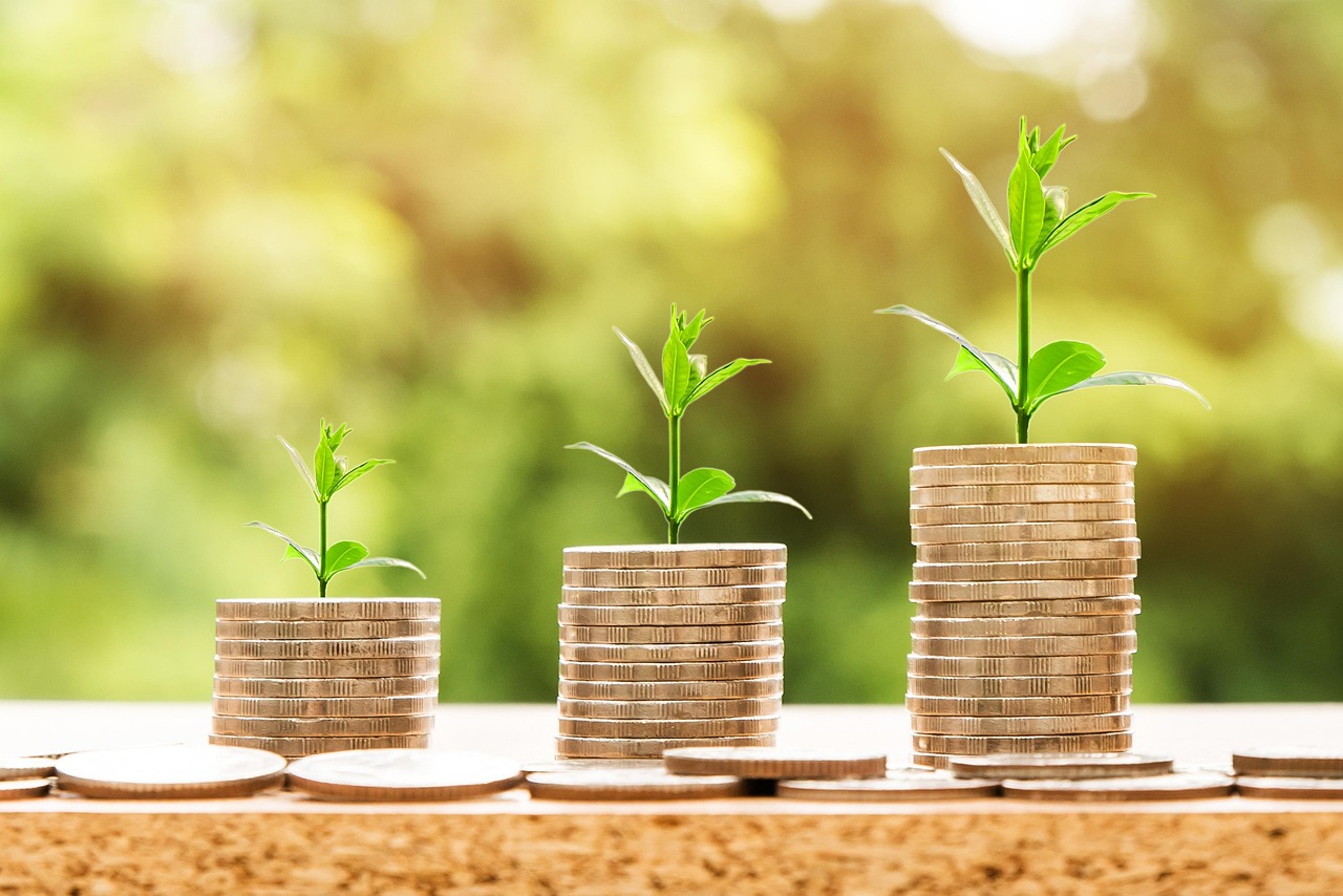 découvrez tout sur l’investissement : conseils, stratégies et actualités pour faire fructifier votre argent et sécuriser votre avenir financier.