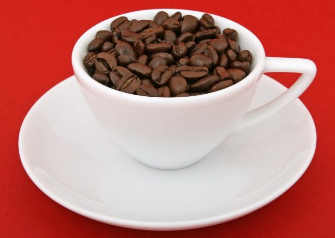 À la découverte des saveurs italiennes : la Semaine toscane à Mende avec les lanceurs de drapeaux de Volterra