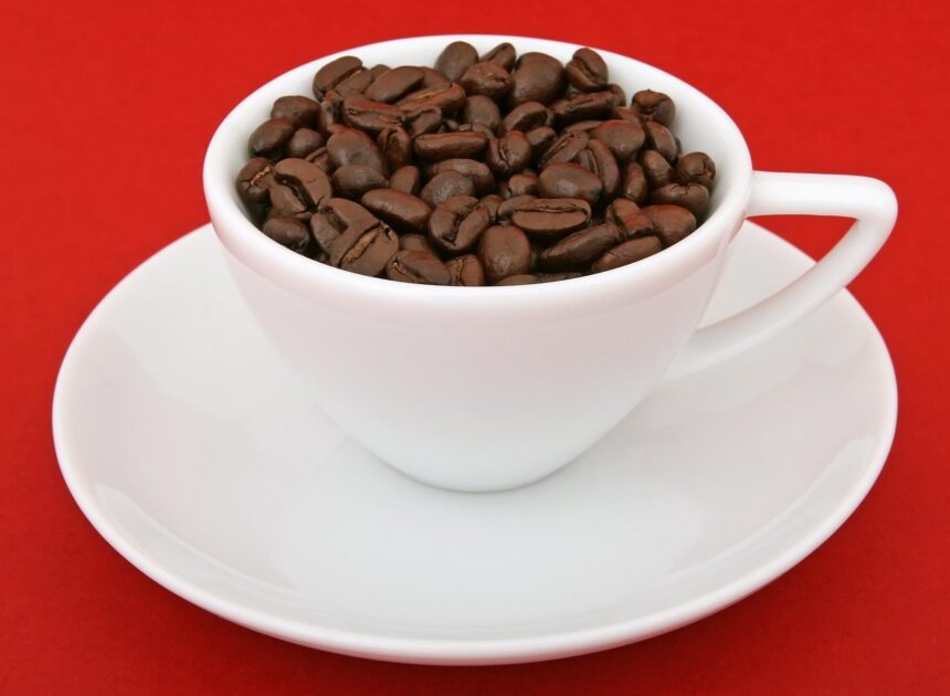 À la découverte des saveurs italiennes : la Semaine toscane à Mende avec les lanceurs de drapeaux de Volterra