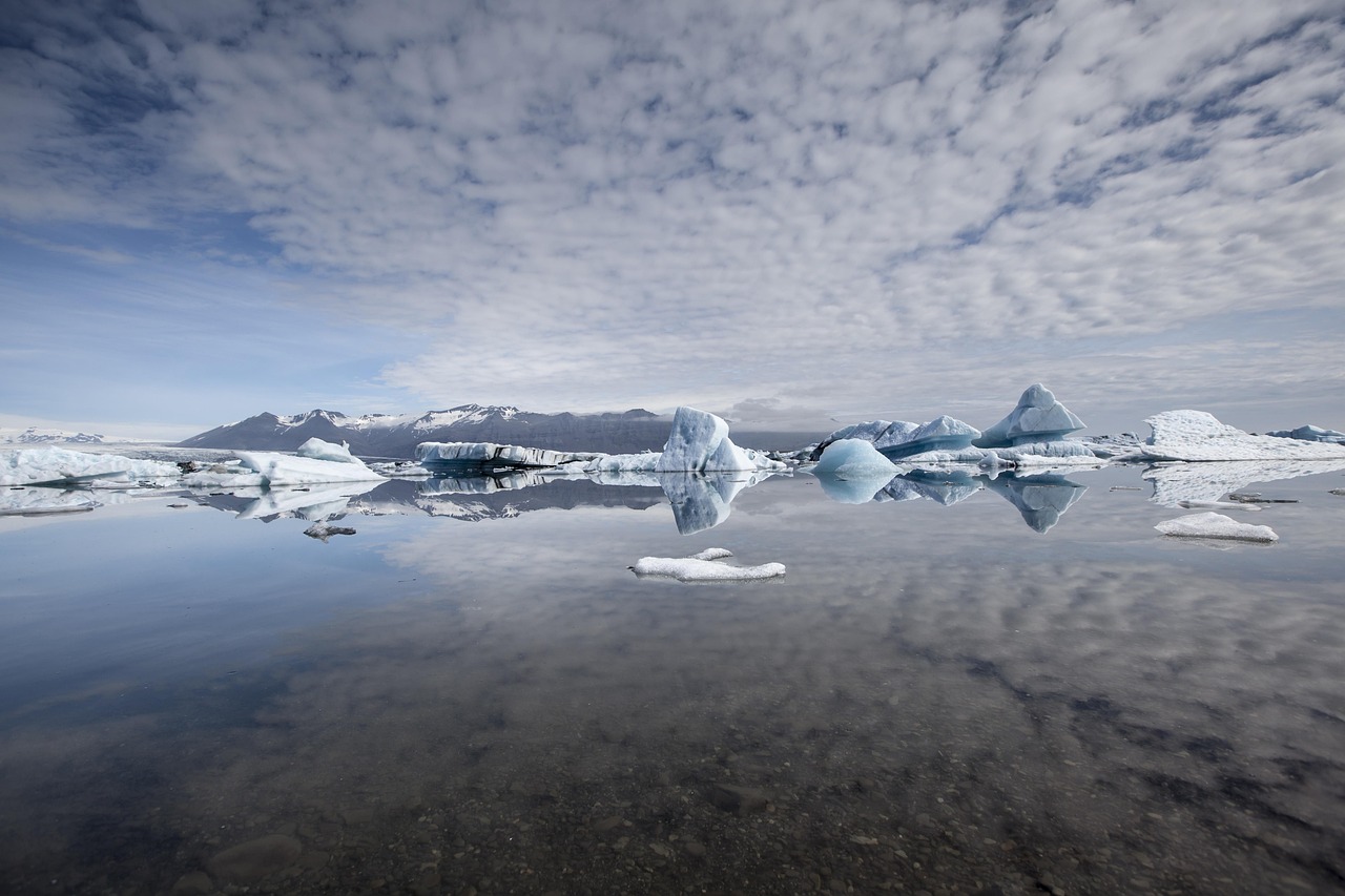 découvrez les lagunes : des milieux naturels fascinants, situés entre terre et mer, riches en biodiversité et parfaits pour l’observation de la faune et la détente en pleine nature.