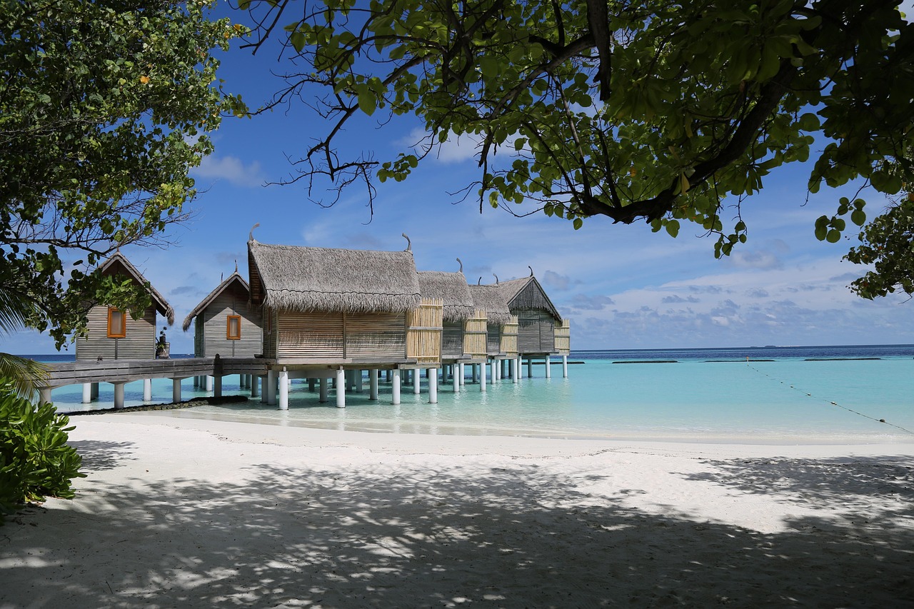 découvrez les maldives, un paradis tropical aux eaux turquoise et plages de sable blanc, idéal pour des vacances inoubliables, la plongée sous-marine et la détente au soleil.