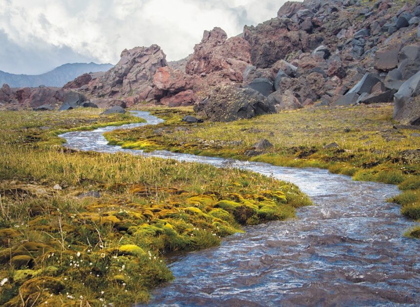 L’Union Européenne décrète l’interdiction totale des voyages organisés vers la Russie