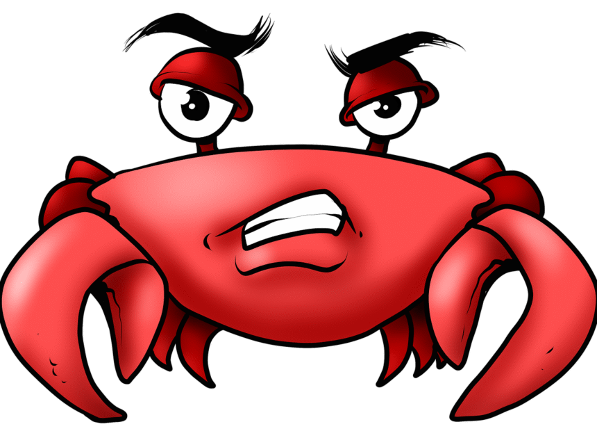 En Allemagne, un guide de musée volontairement grincheux séduit les visiteurs sans jamais les insulter