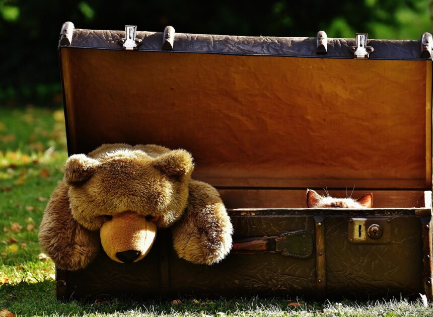 Cette destination insoupçonnée séduit un nombre croissant d’aventuriers