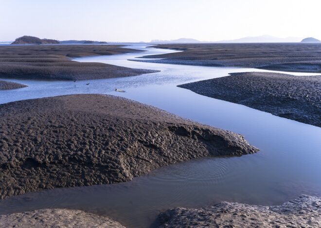 L’Alibi : la nouvelle communauté engagée qui regorge d’astuces pour un voyage bas carbone