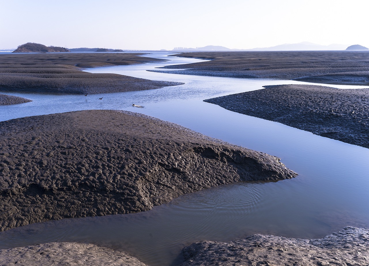 L’Alibi : la nouvelle communauté engagée qui regorge d’astuces pour un voyage bas carbone
