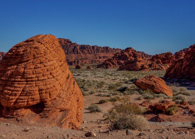 L’évolution du tourisme au Nevada : un équilibre entre divertissement et voyages en pleine nature, tout ce qu’il faut savoir