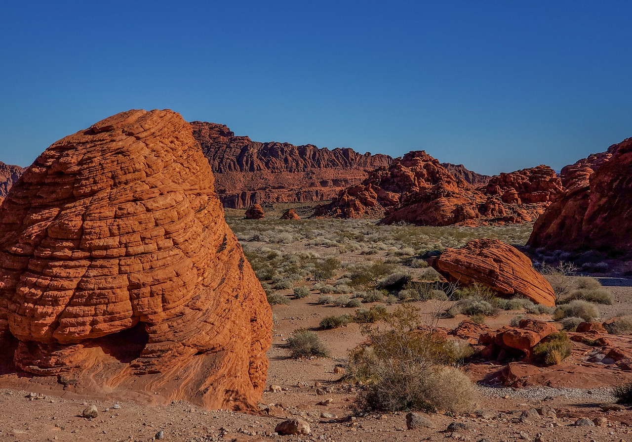 L’évolution du tourisme au Nevada : un équilibre entre divertissement et voyages en pleine nature, tout ce qu’il faut savoir