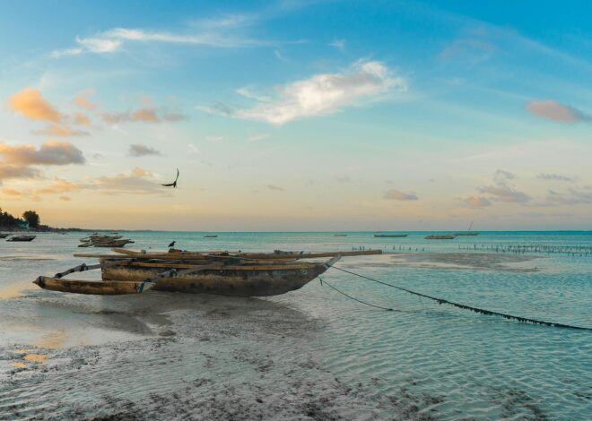 Découvrir la Tanzanie : Informations et Conseils du Ministère de l’Europe et des Affaires étrangères