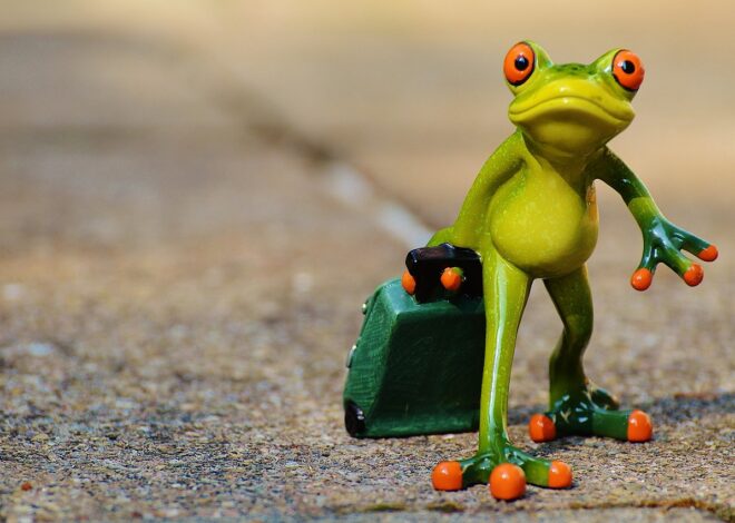 Salon International Tourisme Voyages : Explorez de Nouvelles Idées pour Vos Prochaines Aventures