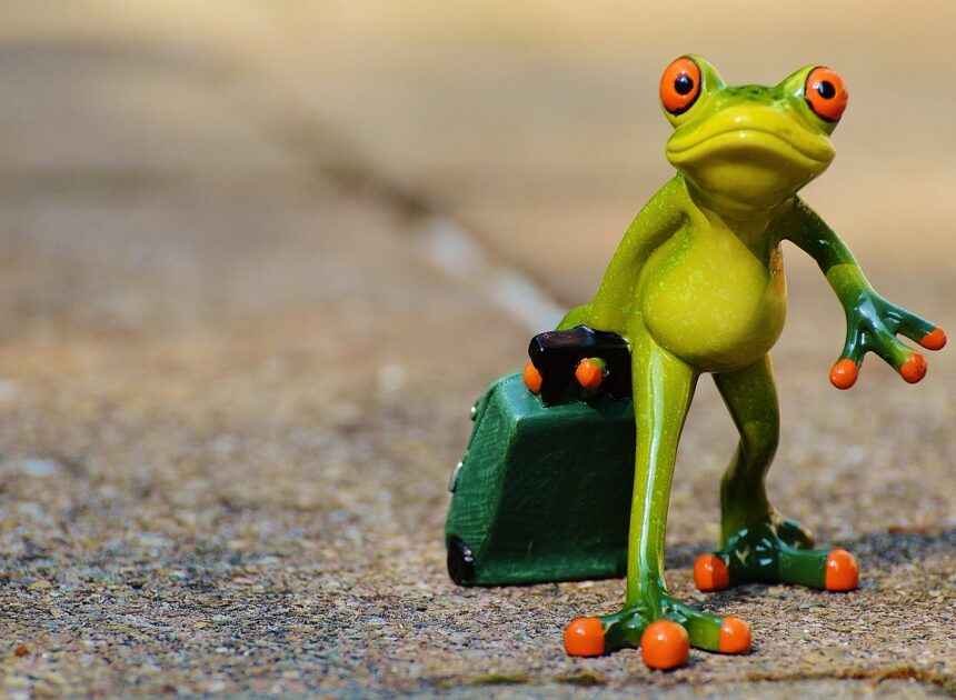 Salon International Tourisme Voyages : Explorez de Nouvelles Idées pour Vos Prochaines Aventures