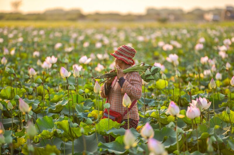d&eacute;couvrez nos conseils essentiels pour voyager au cambodge en toute s&eacute;r&eacute;nit&eacute; : meilleures p&eacute;riodes, astuces pratiques, sites incontournables et conseils de s&eacute;curit&eacute;.