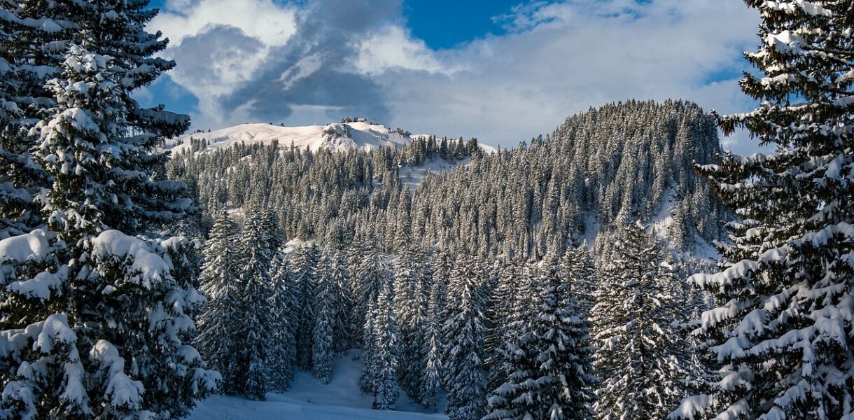 d&eacute;couvrez notre s&eacute;lection d'id&eacute;es et d&eacute;corations pour un no&euml;l en plein air magique et chaleureux.