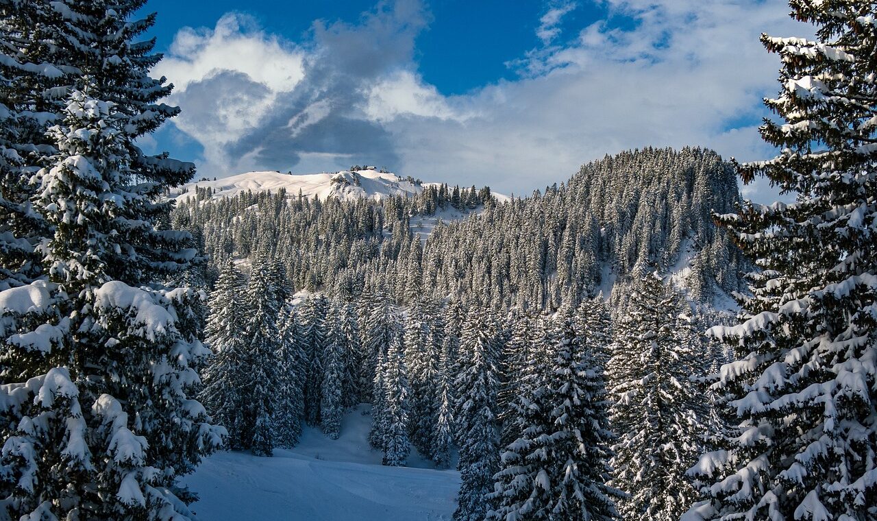 d&eacute;couvrez notre s&eacute;lection d'id&eacute;es et d&eacute;corations pour un no&euml;l en plein air magique et chaleureux.