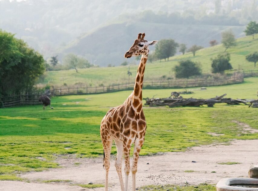 République tchèque : Informations de dernière minute et mises à jour essentielles