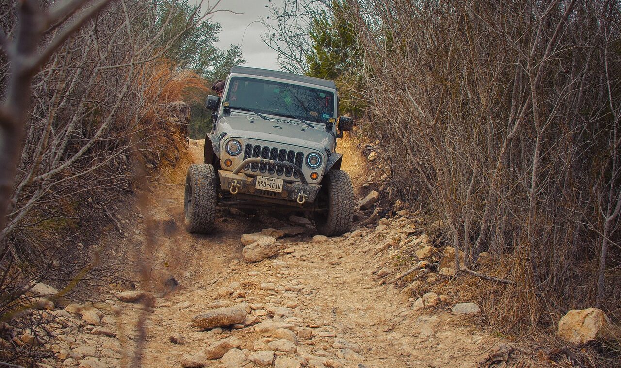 découvrez une expertise exclusive alliant savoir-faire unique et solutions sur-mesure pour répondre à vos besoins les plus exigeants.