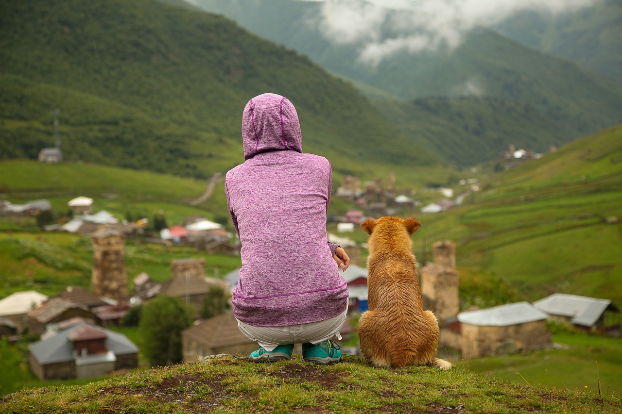découvrez le tourisme en géorgie en 2026 : attractions incontournables, événements à ne pas manquer, conseils de voyage et expériences uniques pour un séjour inoubliable.