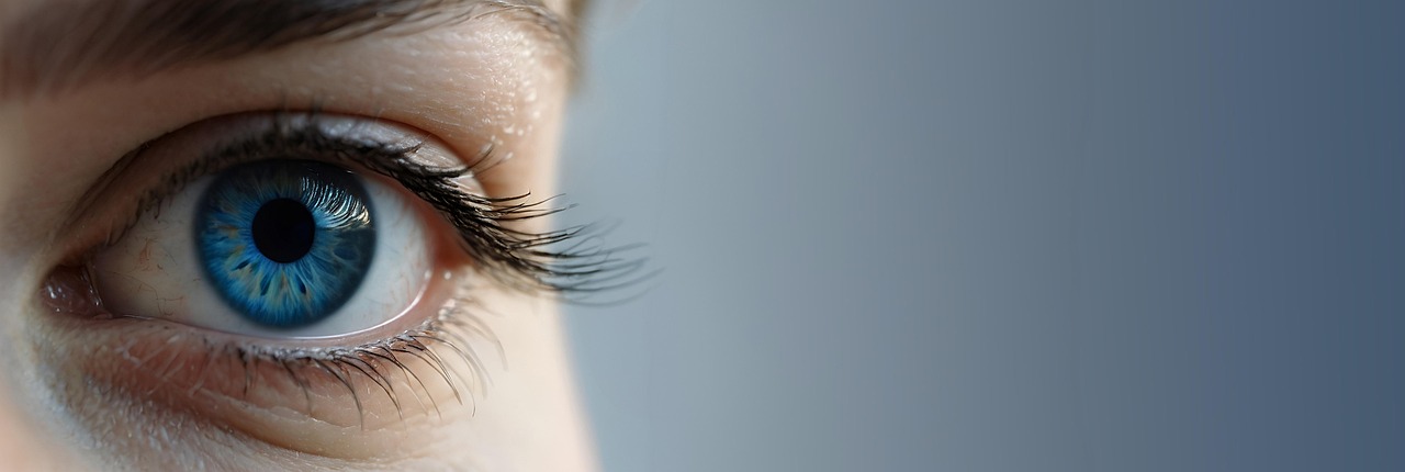 Quand le regard transforme les lieux : une nouvelle perception de l’espace