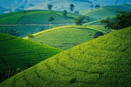 d&eacute;couvrez les aventures inoubliables du voyage en solo au vietnam : conseils pratiques, lieux incontournables et astuces pour une exp&eacute;rience authentique et s&eacute;curis&eacute;e.