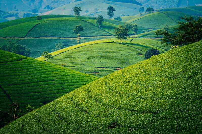 découvrez les aventures inoubliables du voyage en solo au vietnam : conseils pratiques, lieux incontournables et astuces pour une expérience authentique et sécurisée.