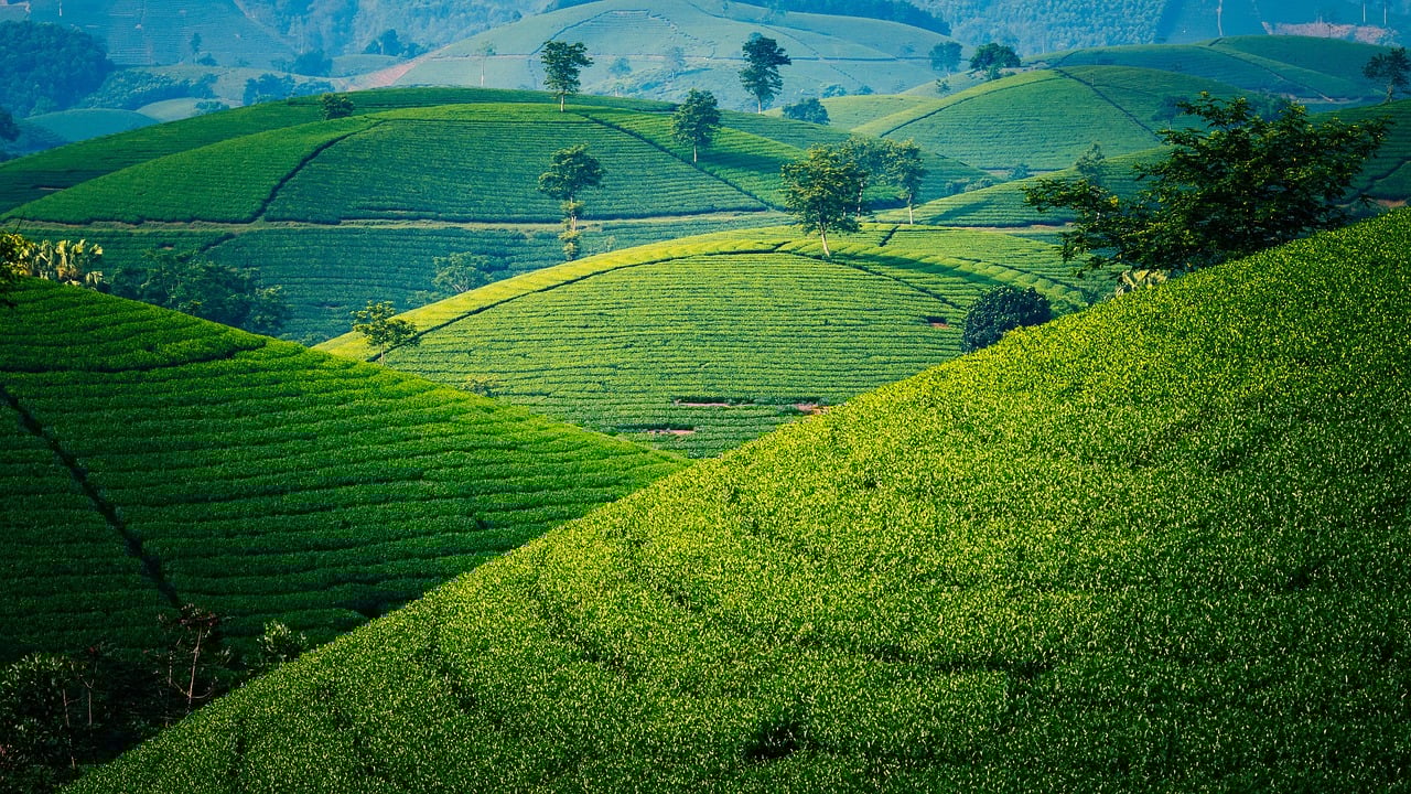 découvrez les aventures inoubliables du voyage en solo au vietnam : conseils pratiques, lieux incontournables et astuces pour une expérience authentique et sécurisée.