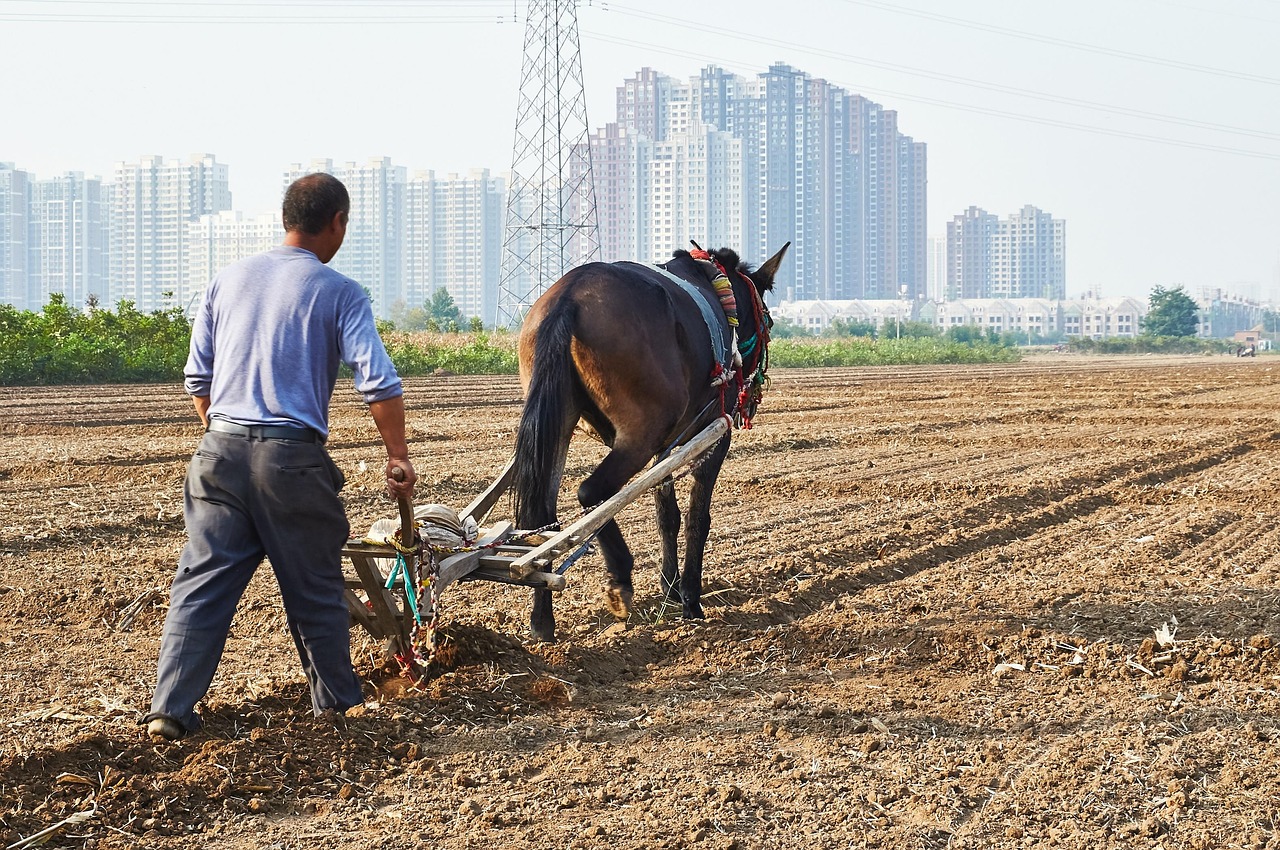 découvrez les tensions actuelles entre la thaïlande et le cambodge, leur impact sur la région et les enjeux diplomatiques majeurs.