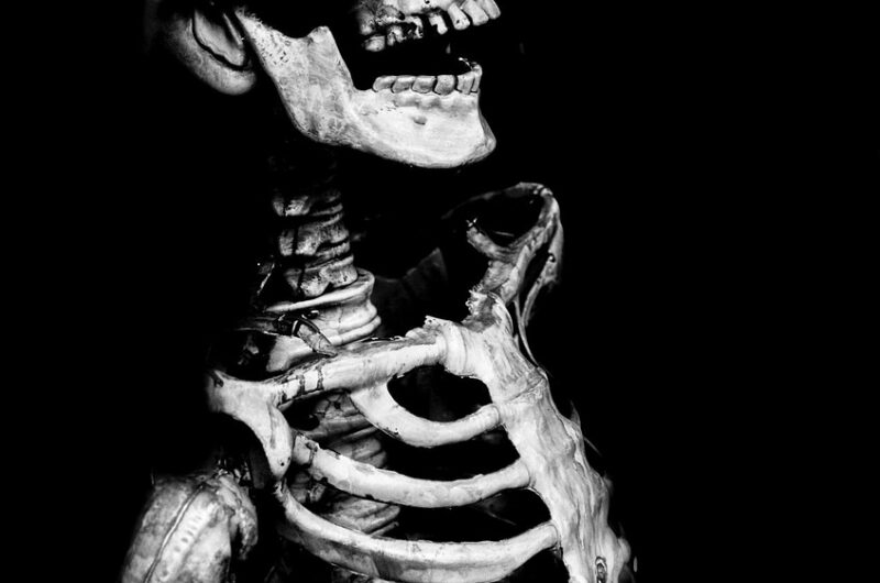 d&eacute;couvrez comment &eacute;viter un cauchemar de vacances et profitez pleinement de votre s&eacute;jour gr&acirc;ce &agrave; nos conseils pratiques et astuces indispensables.