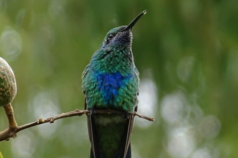 d&eacute;couvrez la colombie, un pays riche en culture, paysages vari&eacute;s et histoire fascinante. explorez ses villes vibrantes, ses plages paradisiaques et sa biodiversit&eacute; unique.
