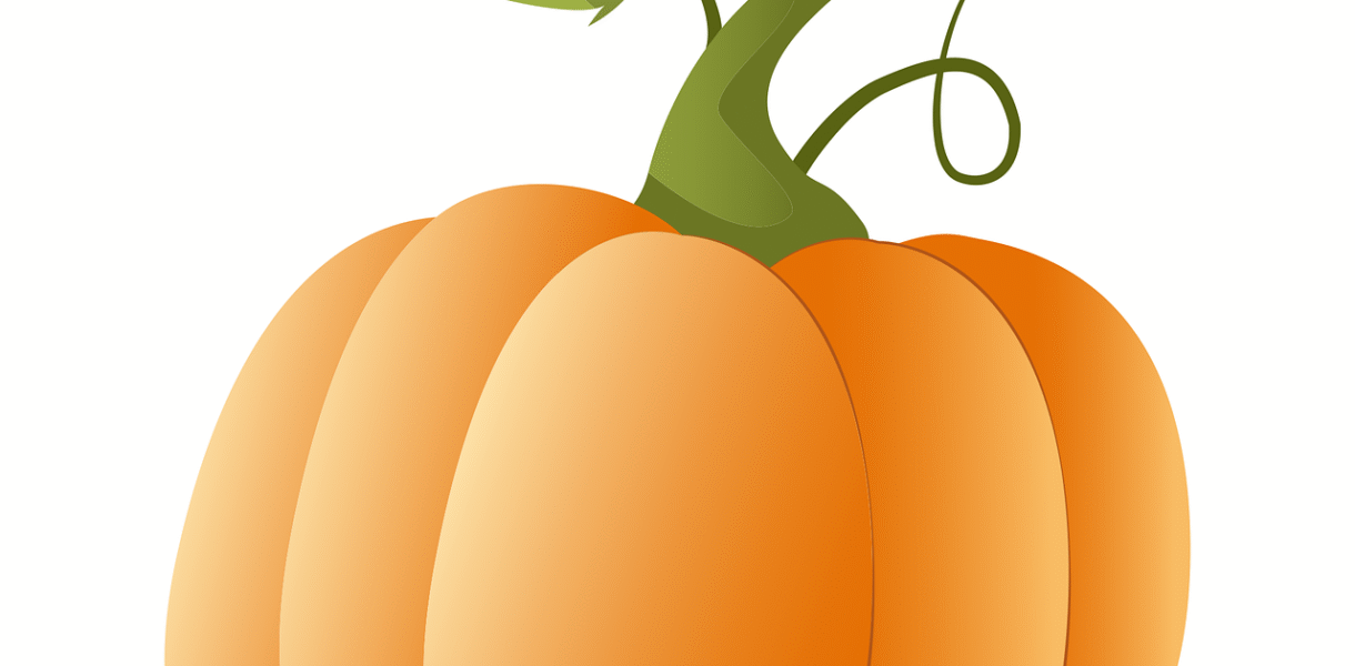 c&eacute;l&eacute;brez la parade du 12 octobre avec des d&eacute;fil&eacute;s color&eacute;s et festifs, mettant en lumi&egrave;re la culture, l'histoire et la joie de cette journ&eacute;e sp&eacute;ciale.