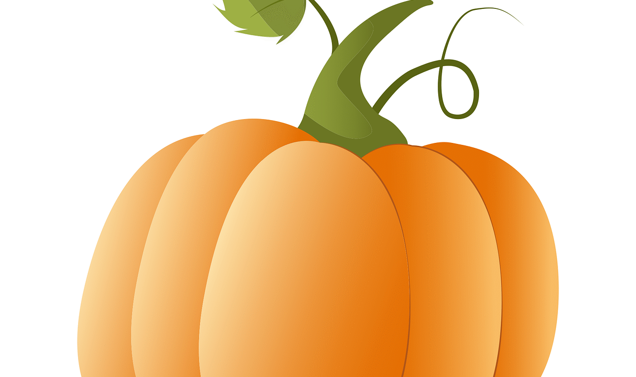 c&eacute;l&eacute;brez la parade du 12 octobre avec des d&eacute;fil&eacute;s color&eacute;s et festifs, mettant en lumi&egrave;re la culture, l'histoire et la joie de cette journ&eacute;e sp&eacute;ciale.