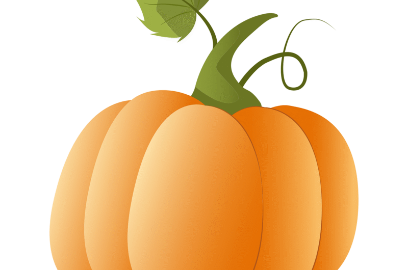 c&eacute;l&eacute;brez la parade du 12 octobre avec des d&eacute;fil&eacute;s color&eacute;s et festifs, mettant en lumi&egrave;re la culture, l'histoire et la joie de cette journ&eacute;e sp&eacute;ciale.