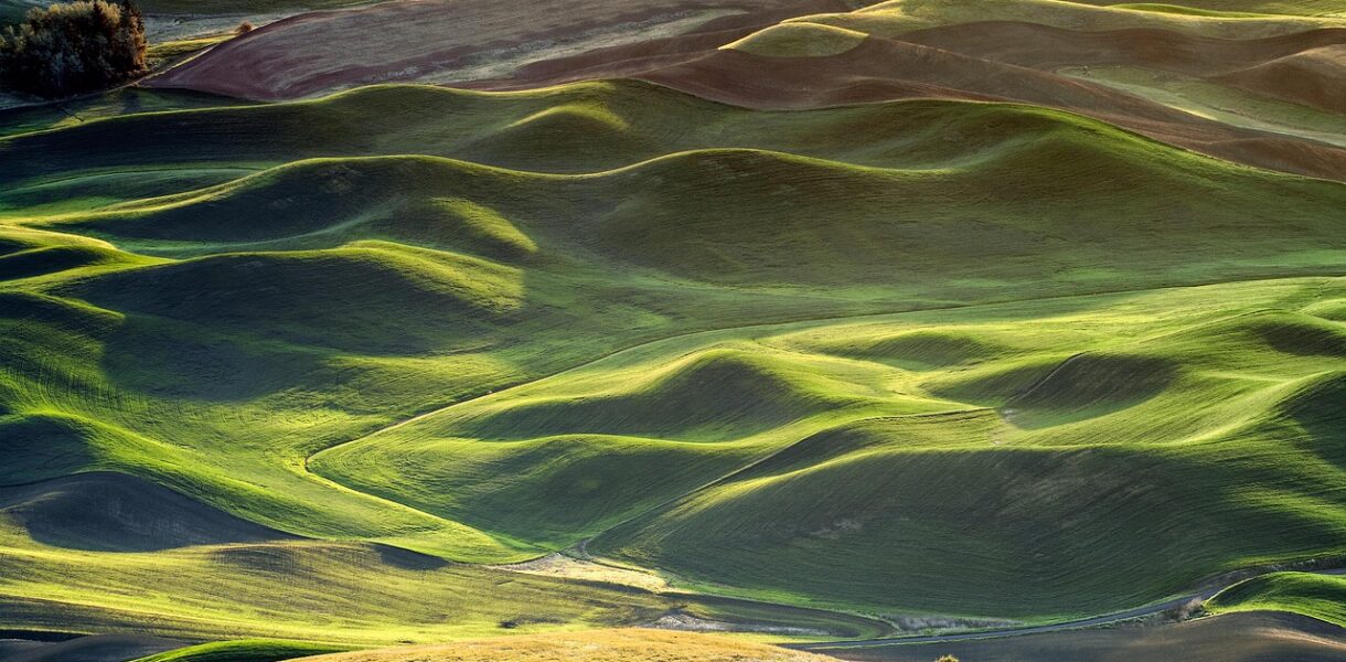 pacific voice est une plateforme dédiée à la promotion des voix authentiques et des récits inspirants de la région pacifique.