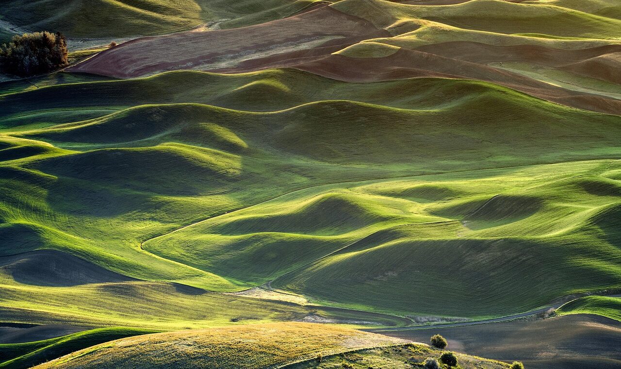 pacific voice est une plateforme d&eacute;di&eacute;e &agrave; la promotion des voix authentiques et des r&eacute;cits inspirants de la r&eacute;gion pacifique.