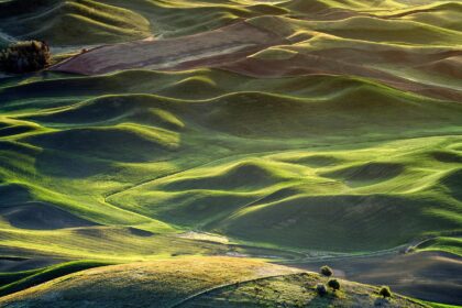 pacific voice est une plateforme d&eacute;di&eacute;e &agrave; la promotion des voix authentiques et des r&eacute;cits inspirants de la r&eacute;gion pacifique.