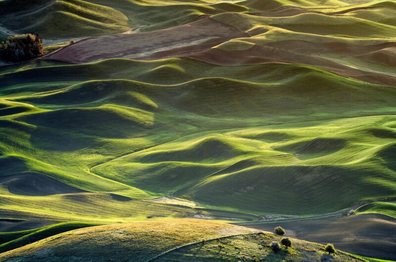 pacific voice est une plateforme d&eacute;di&eacute;e &agrave; la promotion des voix authentiques et des r&eacute;cits inspirants de la r&eacute;gion pacifique.