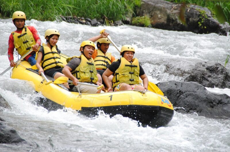 d&eacute;couvrez l'aventure et l'adr&eacute;naline du rafting en eaux vives. profitez d'une exp&eacute;rience unique en pleine nature, adapt&eacute;e &agrave; tous les niveaux, pour des moments inoubliables en famille ou entre amis.