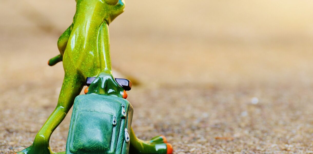 d&eacute;couvrez des conseils, astuces et destinations incontournables pour vos voyages. explorez le monde avec nos guides et inspirations de travel.