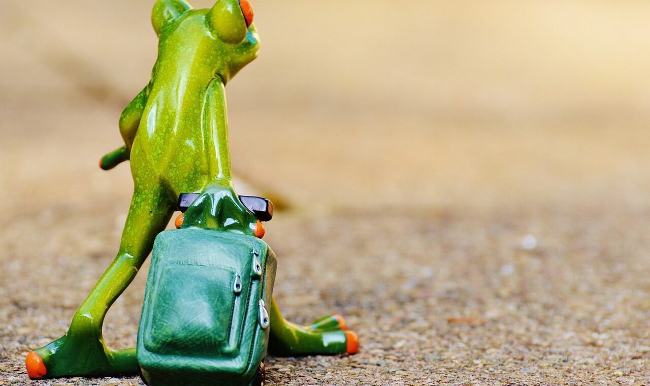 d&eacute;couvrez des conseils, astuces et destinations incontournables pour vos voyages. explorez le monde avec nos guides et inspirations de travel.