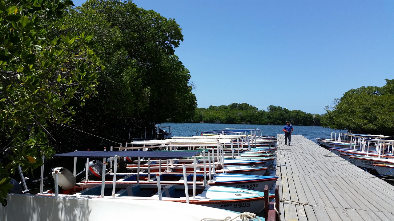 d&eacute;couvrez nos conseils incontournables pour voyager au venezuela en toute s&eacute;curit&eacute; et profiter pleinement de votre s&eacute;jour.