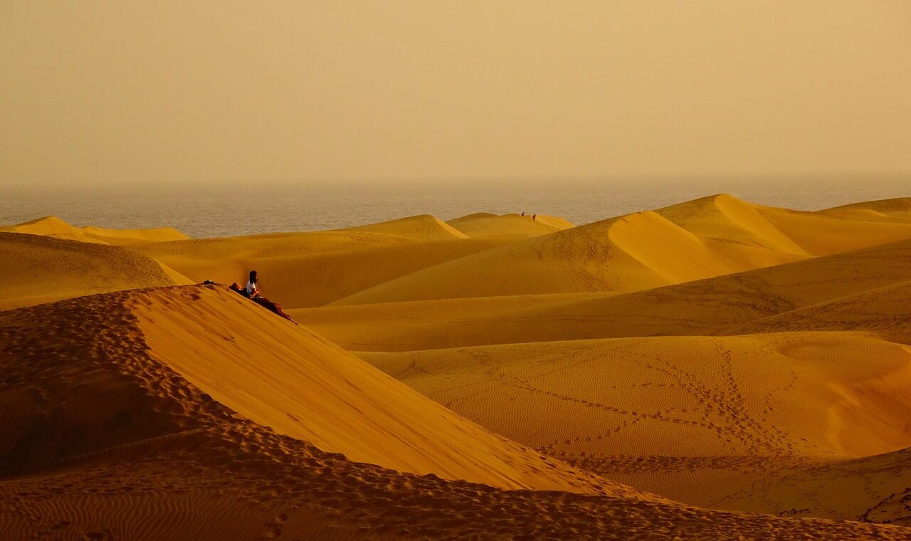 d&eacute;couvrez les myst&egrave;res et la beaut&eacute; saisissante du d&eacute;sert, un paysage fascinant o&ugrave; r&egrave;gnent calme et immensit&eacute;.