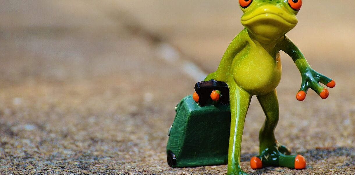 d&eacute;couvrez des conseils, destinations et astuces pour voyager autour du monde et vivre des exp&eacute;riences inoubliables.