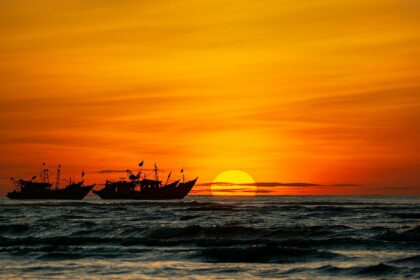 d&eacute;couvrez notre guide de voyage complet pour le vietnam : conseils pratiques, sites incontournables, culture locale et astuces pour un s&eacute;jour inoubliable.