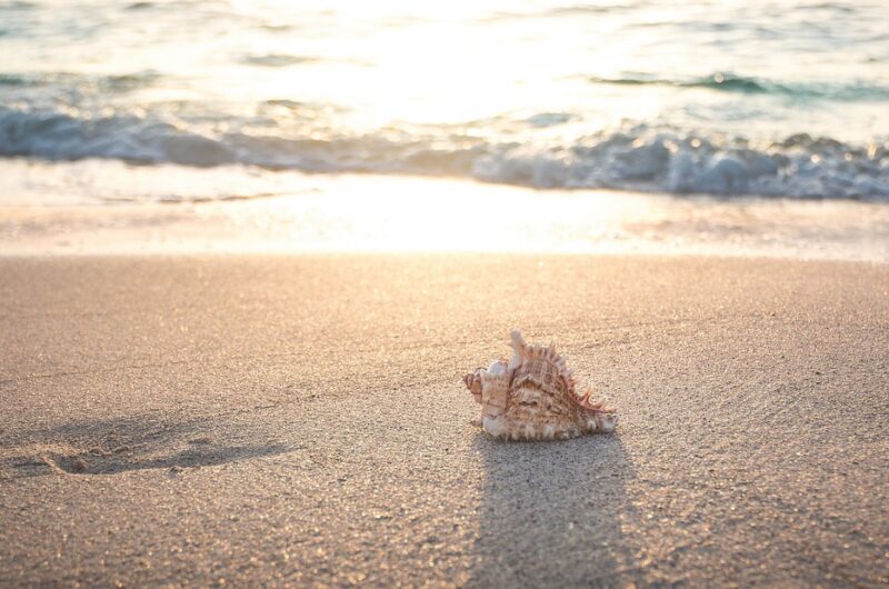 d&eacute;couvrez nos vacances tout compris pour un s&eacute;jour d&eacute;tente sans souci, avec h&eacute;bergement, repas et activit&eacute;s inclus.