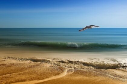 d&eacute;couvrez les meilleures destinations de plage pour des vacances inoubliables au bord de la mer, avec sable fin, eaux cristallines et ambiance relaxante.