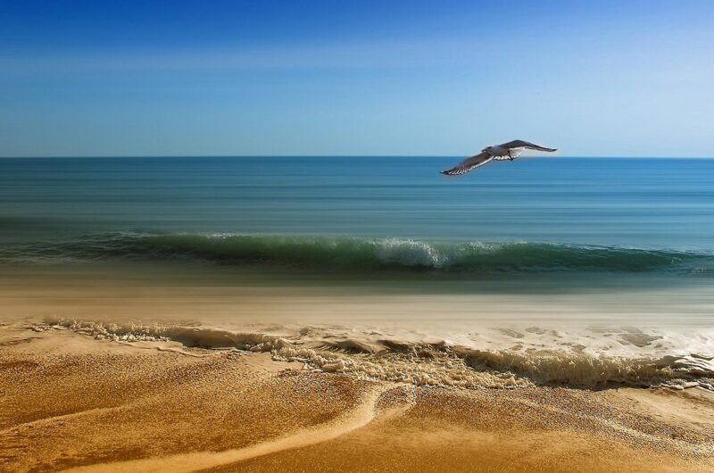 d&eacute;couvrez les meilleures destinations de plage pour des vacances inoubliables au bord de la mer, avec sable fin, eaux cristallines et ambiance relaxante.