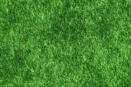 d&eacute;couvrez un voyage &agrave; v&eacute;lo &eacute;cologique alliant aventure, respect de la nature et plaisir du cyclisme durable.