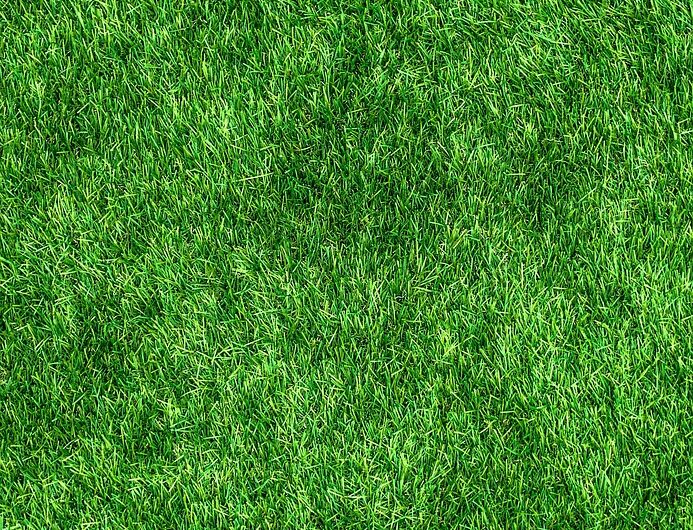 d&eacute;couvrez un voyage &agrave; v&eacute;lo &eacute;cologique alliant aventure, respect de la nature et plaisir du cyclisme durable.