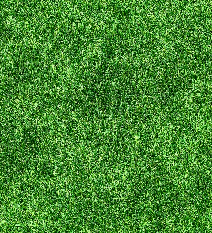 d&eacute;couvrez un voyage &agrave; v&eacute;lo &eacute;cologique alliant aventure, respect de la nature et plaisir du cyclisme durable.