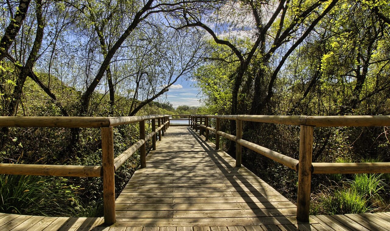 d&eacute;couvrez l'&eacute;cotourisme : une approche responsable du voyage qui valorise la nature, prot&egrave;ge l'environnement et soutient les communaut&eacute;s locales.